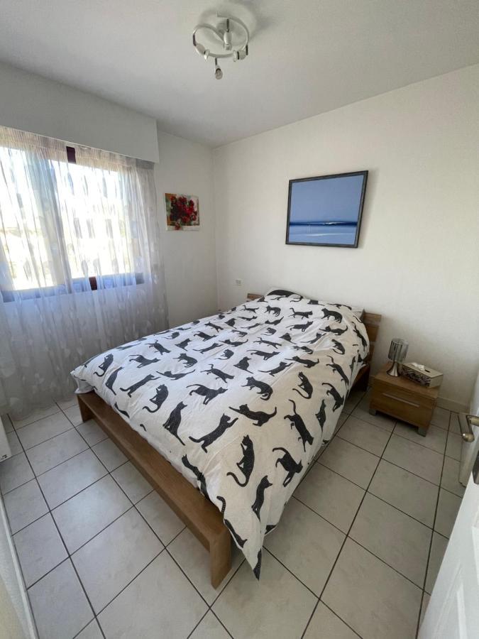 7Mn From The Center/ Pool/Parking Apartment Cannes Luaran gambar